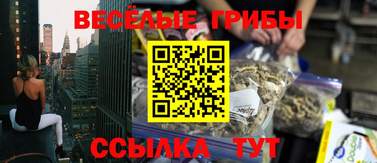 Абакан  Псилоцибиновые грибы MAGIC MUSHROOMS  купить   Галлюциногенные грибы GOLDEN TEACHER  Вход с VPN 